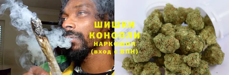 Канабис OG Kush  Киселёвск 